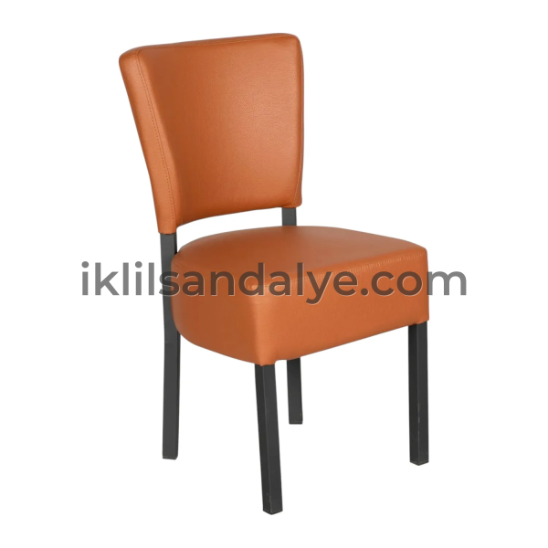 LİSA